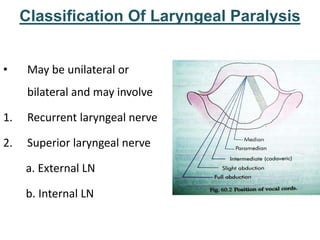 Classification Of Laryngeal Paralysis
• May be unilateral or
bilateral and may involve
1. Recurrent laryngeal nerve
2. Superior laryngeal nerve
a. External LN
b. Internal LN
 