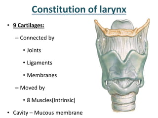 Constitution of larynx
• 9 Cartilages:
– Connected by
• Joints
• Ligaments
• Membranes
– Moved by
• 8 Muscles(Intrinsic)
•...