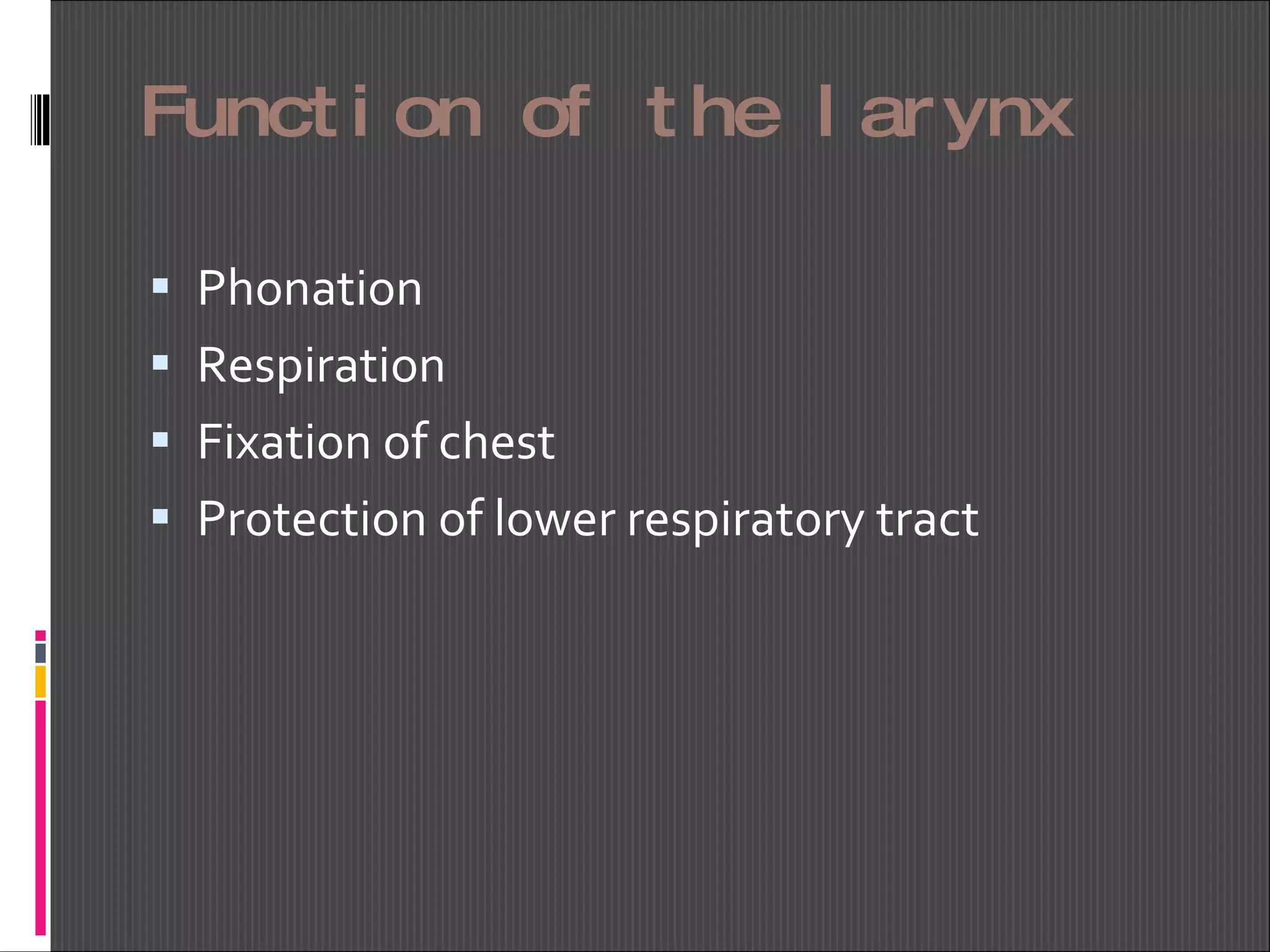 Function of the larynx Phonation Respiration Fixation of chest Protection of lower respiratory tract 