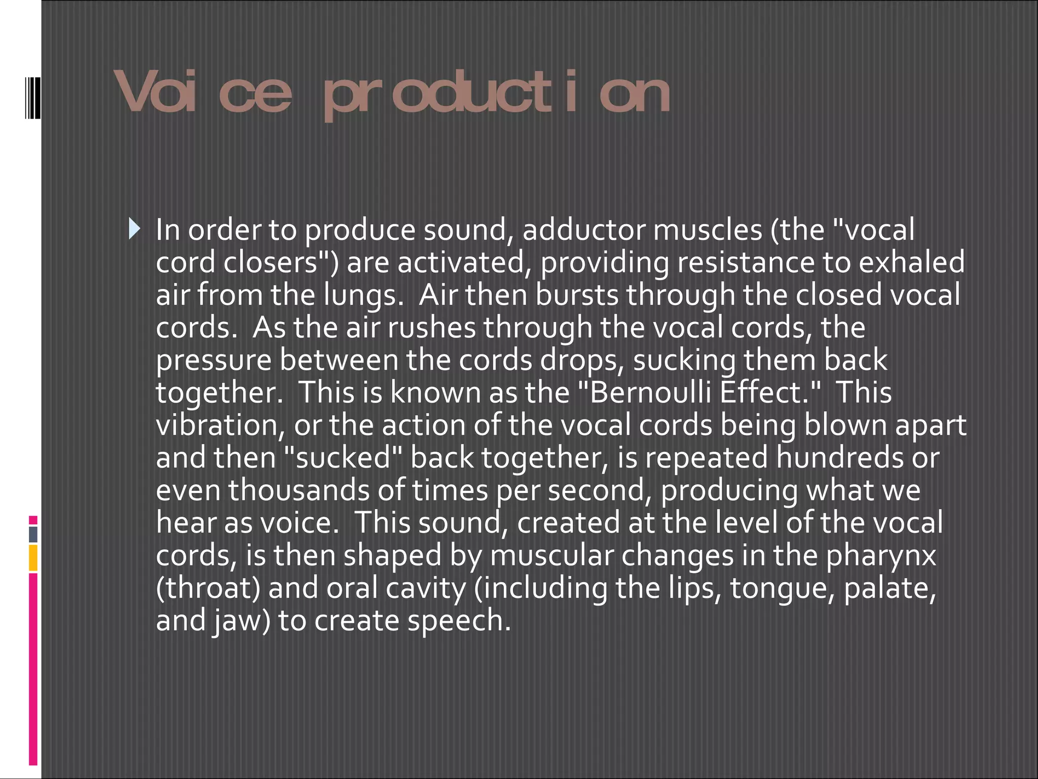 Voice production In order to produce sound, adductor muscles (the "vocal cord closers") are activated, providing resistance to exhaled air from the lungs.  Air then bursts through the closed vocal cords.  As the air rushes through the vocal cords, the pressure between the cords drops, sucking them back together.  This is known as the "Bernoulli Effect."  This vibration, or the action of the vocal cords being blown apart and then "sucked" back together, is repeated hundreds or even thousands of times per second, producing what we hear as voice.  This sound, created at the level of the vocal cords, is then shaped by muscular changes in the pharynx (throat) and oral cavity (including the lips, tongue, palate, and jaw) to create speech.     