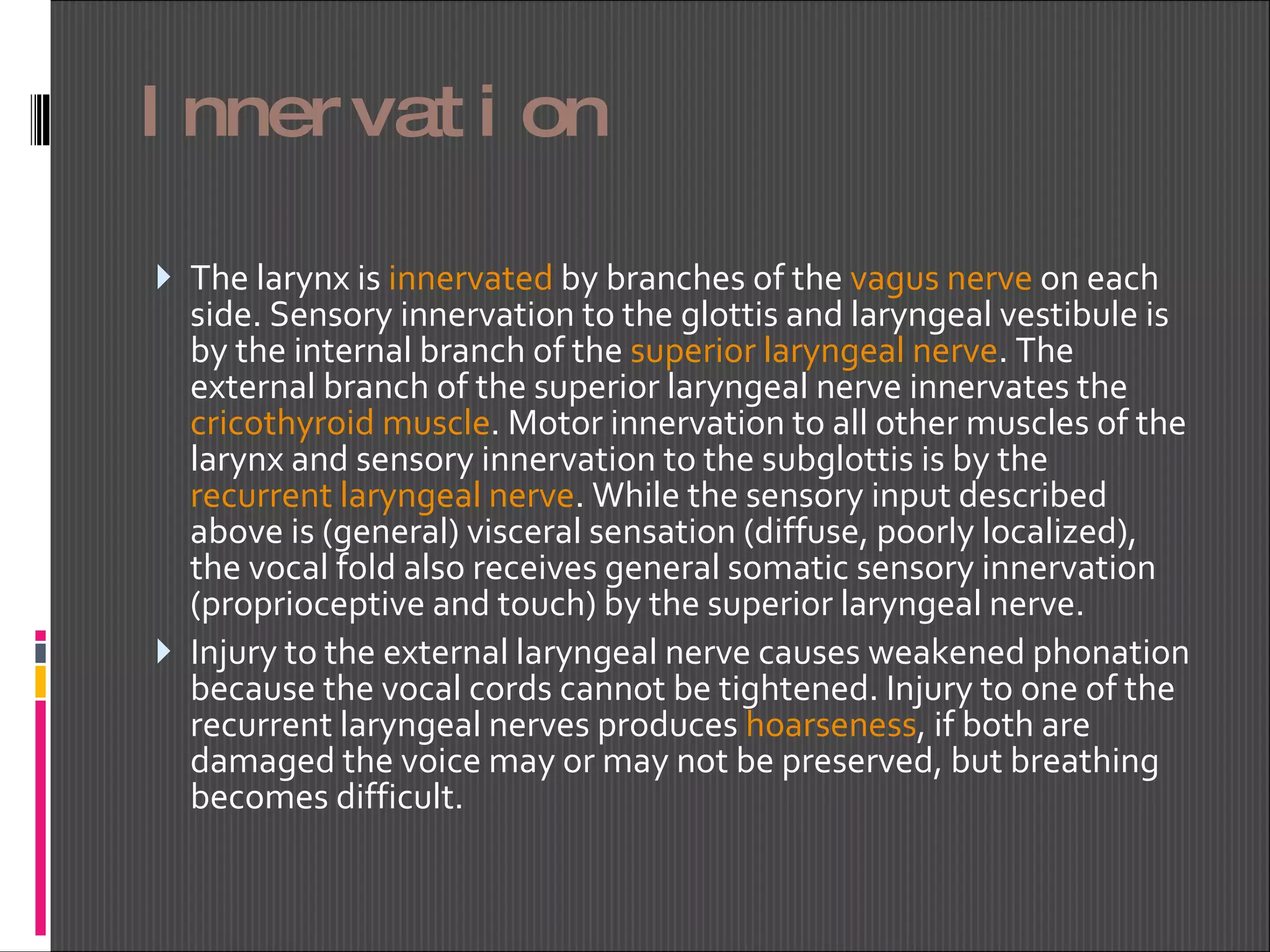 Innervation The larynx is  innervated  by branches of the  vagus nerve  on each side. Sensory innervation to the glottis and laryngeal vestibule is by the internal branch of the  superior laryngeal nerve . The external branch of the superior laryngeal nerve innervates the  cricothyroid  muscle . Motor innervation to all other muscles of the larynx and sensory innervation to the subglottis is by the recurrent laryngeal nerve . While the sensory input described above is (general) visceral sensation (diffuse, poorly localized), the vocal fold also receives general somatic sensory innervation (proprioceptive and touch) by the superior laryngeal nerve. Injury to the external laryngeal nerve causes weakened phonation because the vocal cords cannot be tightened. Injury to one of the recurrent laryngeal nerves produces  hoarseness , if both are damaged the voice may or may not be preserved, but breathing becomes difficult. 
