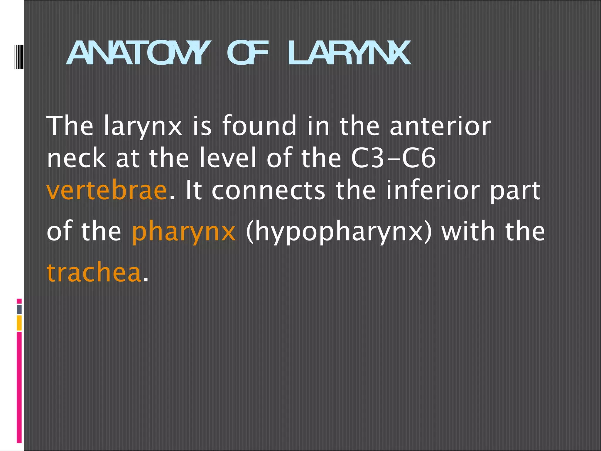 ANATOMY OF LARYNX The larynx is found in the anterior neck at the level of the C3-C6  vertebrae . It connects the inferior part of the  pharynx  (hypopharynx) with the  trachea . 
