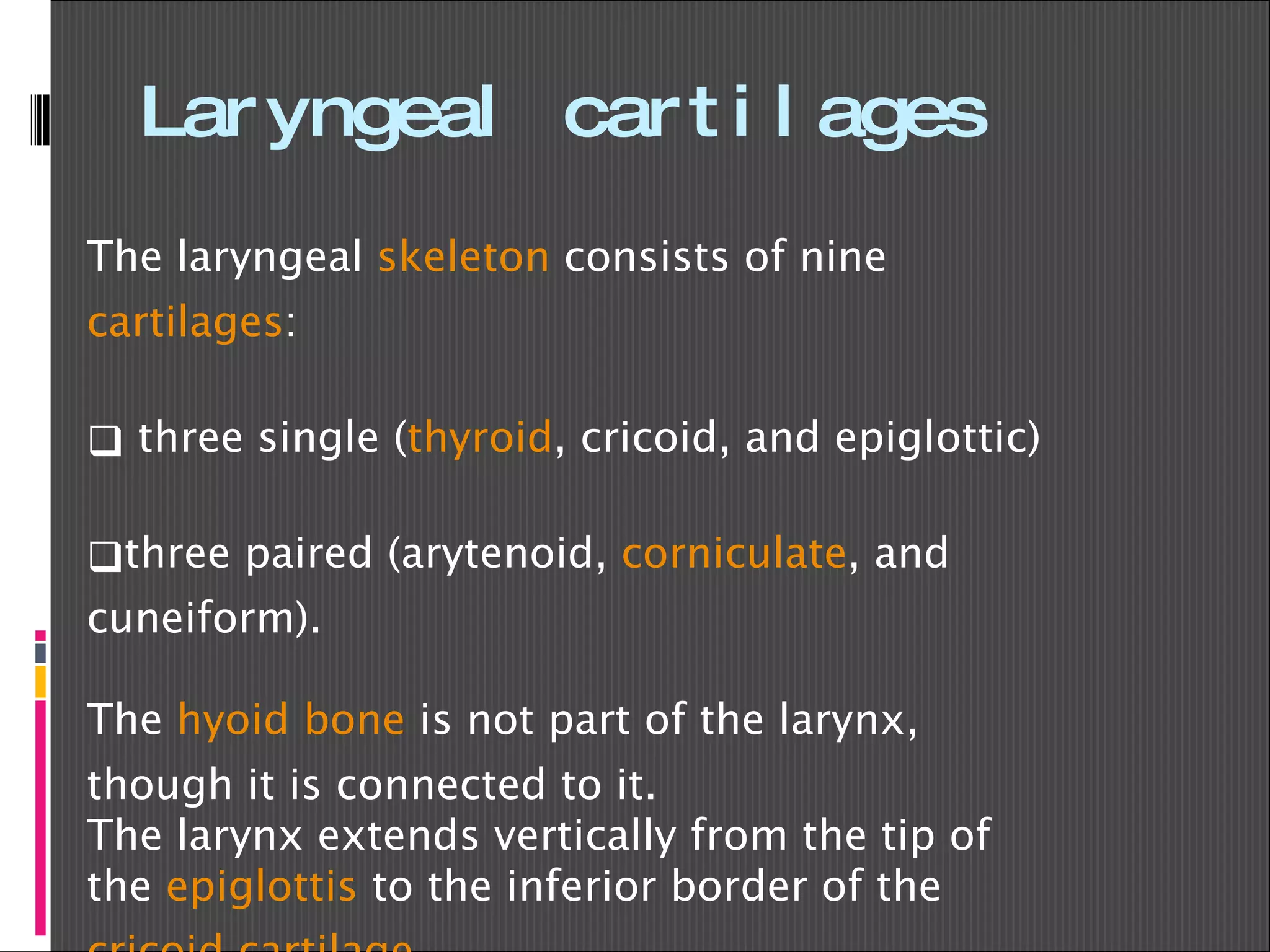 Laryngeal cartilages The laryngeal  skeleton  consists of nine  cartilages :  three single ( thyroid , cricoid, and epiglottic)  three paired (arytenoid,  corniculate , and cuneiform).  The  hyoid bone  is not part of the larynx, though it is connected to it.  The larynx extends vertically from the tip of the  epiglottis  to the inferior border of the  cricoid cartilage . 