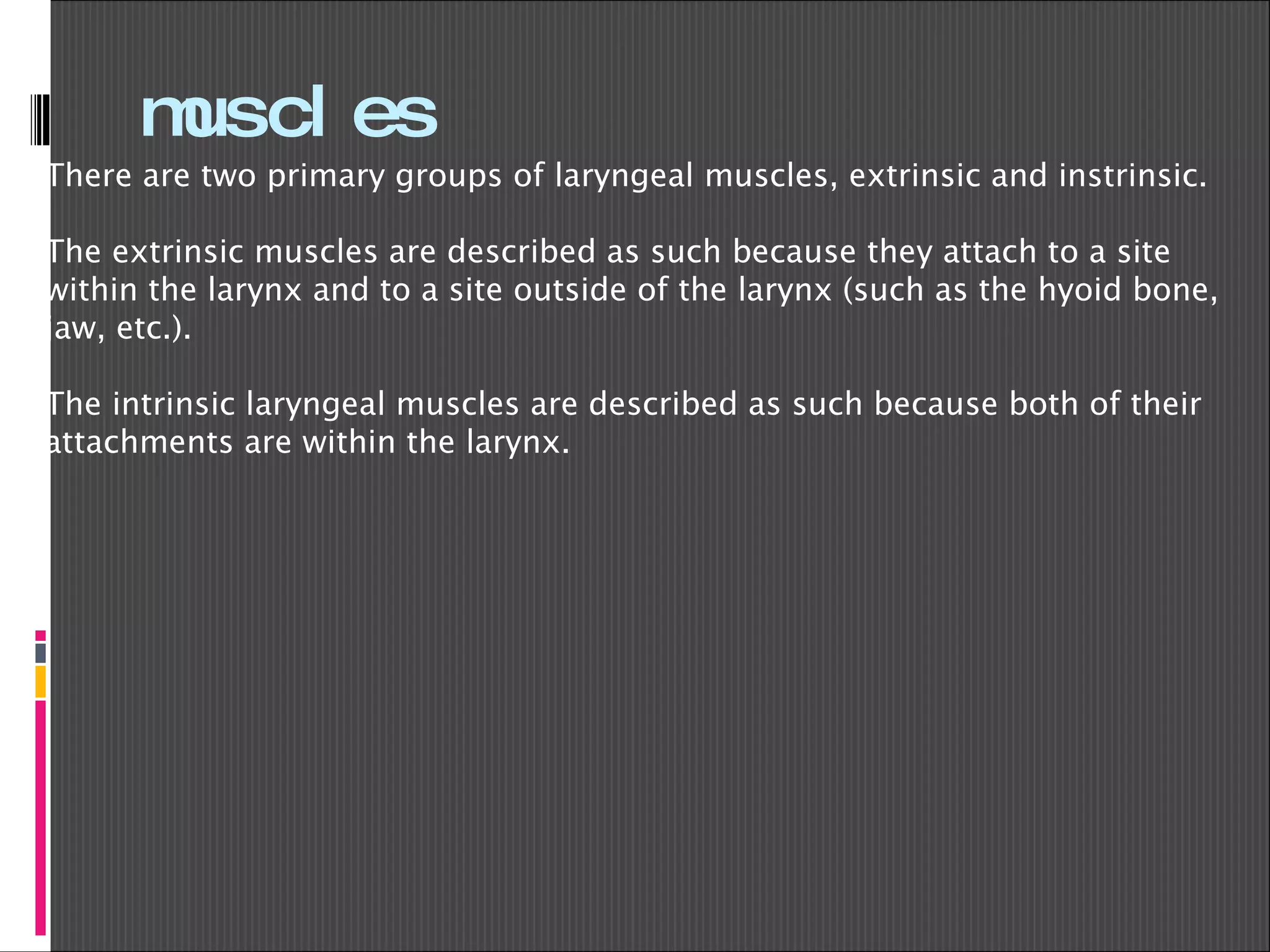 muscles There are two primary groups of laryngeal muscles, extrinsic and instrinsic.   The extrinsic muscles are described as such because they attach to a site within the larynx and to a site outside of the larynx (such as the hyoid bone, jaw, etc.).  The intrinsic laryngeal muscles are described as such because both of their attachments are within the larynx.  