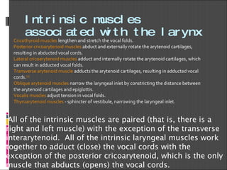 Intrinsic muscles associated with the larynx Cricothyroid muscles  lengthen and stretch the vocal folds. Posterior cricoarytenoid muscles  abduct and externally rotate the arytenoid cartilages, resulting in abducted vocal cords. Lateral cricoarytenoid muscles  adduct and internally rotate the arytenoid cartilages, which can result in adducted vocal folds. Transverse arytenoid muscle  adducts the arytenoid cartilages, resulting in adducted vocal cords. [2] Oblique arytenoid muscles  narrow the laryngeal inlet by constricting the distance between the arytenoid cartilages and epiglottis. Vocalis muscles  adjust tension in vocal folds. Thyroarytenoid muscles  - sphincter of vestibule, narrowing the laryngeal inlet. All of the intrinsic muscles are paired (that is, there is a right and left muscle) with the exception of the transverse interarytenoid.  All of the intrinsic laryngeal muscles work together to adduct (close) the vocal cords with the exception of the posterior cricoarytenoid, which is the only muscle that abducts (opens) the vocal cords.   