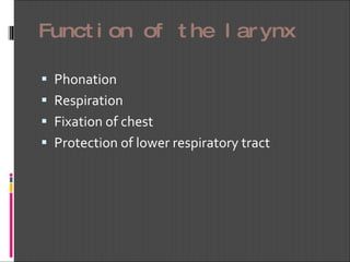 Function of the larynx Phonation Respiration Fixation of chest Protection of lower respiratory tract 
