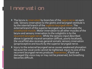 Innervation The larynx is  innervated  by branches of the  vagus nerve  on each side. Sensory innervation to the glottis and laryngeal vestibule is by the internal branch of the  superior laryngeal nerve . The external branch of the superior laryngeal nerve innervates the  cricothyroid  muscle . Motor innervation to all other muscles of the larynx and sensory innervation to the subglottis is by the recurrent laryngeal nerve . While the sensory input described above is (general) visceral sensation (diffuse, poorly localized), the vocal fold also receives general somatic sensory innervation (proprioceptive and touch) by the superior laryngeal nerve. Injury to the external laryngeal nerve causes weakened phonation because the vocal cords cannot be tightened. Injury to one of the recurrent laryngeal nerves produces  hoarseness , if both are damaged the voice may or may not be preserved, but breathing becomes difficult. 