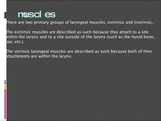 muscles There are two primary groups of laryngeal muscles, extrinsic and instrinsic.   The extrinsic muscles are described as such because they attach to a site within the larynx and to a site outside of the larynx (such as the hyoid bone, jaw, etc.).  The intrinsic laryngeal muscles are described as such because both of their attachments are within the larynx.  