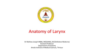 Anatomy of Larynx
Dr Mathew Joseph MBBS, MD(AIIMS), BCC(Palliative Medicine)
Assistant Professor
Department of Anatomy
Amala Institute of Medical Sciences, Thrissur
 