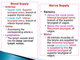 Blood Supply
 Arteries:
 Upper half: Superior
laryngeal artery, branch of
superior thyroid artery.
 Lower half: Inferior
laryngeal artery, branch of
inferior thyroid artery.
 Veins:
 Accompany the
corresponding arterie.s
 Lymphatics:
 The lymph vessels drain
into the deep cervical
lymph nodes.
Nerve Supply
• Sensory
 Above the vocal cords:
Internal laryngeal nerve,
branch of the superior
laryngeal of vagus.
 Below the vocal cords:
Recurrent laryngeal, of
vagus.
• Motor
 All intrinsic muscles of
the larynx are supplied by
the recurrent laryngeal
except cricothyroid, which
is supplied by the the
external laryngeal of
superior laryngeal of
vagus.
 