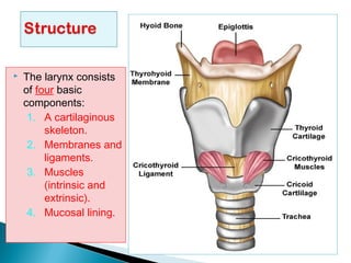  The larynx consists
of four basic
components:
1. A cartilaginous
skeleton.
2. Membranes and
ligaments.
3. Muscles
(intrinsic and
extrinsic).
4. Mucosal lining.
 