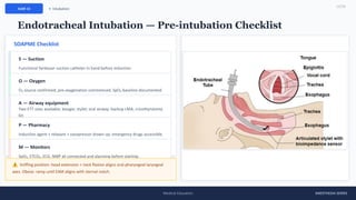 Soapme Checklist Comprehensive Anesthesia Series: Larynx & Hypopharynx Anatomy ...