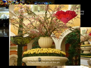 Sảnh đường, bên trong  Bellagio Casino Hotel  Tôi chụp gần nơi đây các bạn xem Phóng đại chậu hoa trong ảnh trước. Bellagio không bao giờ xài hoa giả. 