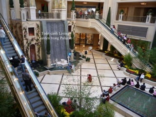 Toàn cảnh Living Garden trong Palazzo 