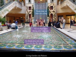 Living Garden của Palazzo Nước chảy từ trên cao xuống  Du khách ném tiền kim loai vào đây lấy hên. Tôi sẽ chụp zoom khung màu vàng nầy. 