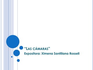 “Las cámaras”  Expositora: Ximena Santillana Rossell 