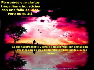 Es que nuestra mente y percepción espiritual son demasiado
estrechas como para comprender la magnitud de algunas
cosas.
Pensamos que ciertas
tragedias e injusticias
son una falla de Dios.
Pero no es así.
Diapositiva exclusiva de AvanzaPorMas.com y Luminares.com.ar – Por Esteban Correa
 