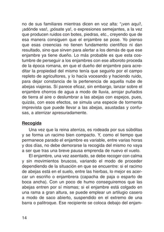 no de sus familiares mientras dicen en voz alta: “¡ven aquí!,
¡adónde vas!, ¡pósate ya!, o expresiones semejantes, a la vez
que producen ruidos con botes, piedras, etc., creyendo que de
esa manera consiguen que el enjambre se pose. Yo pienso
que esas creencias no tienen fundamento científico ni dan
resultado, sino que sirven para alertar a los demás de que ese
enjambre ya tiene dueño. Lo más probable es que esta cos-
tumbre de perseguir a los enjambres con ese alboroto proceda
de la época romana, en que el dueño del enjambre para acre-
ditar la propiedad del mismo tenía que seguirlo por el campo
repleto de agricultores, y lo hacía voceando y haciendo ruido,
para dejar constancia de la pertenencia de aquella nube de
abejas viajeras. Sí parece eficaz, sin embargo, lanzar sobre el
enjambre chorros de agua a modo de lluvia, arrojar puñados
de tierra al aire o deslumbrar a las abejas con espejos, pues,
quizás, con esos efectos, se simula una especie de tormenta
imprevista que puede llevar a las abejas, asustadas y confu-
sas, a aterrizar apresuradamente.

Recogida
   Una vez que la reina aterriza, es rodeada por sus súbditas
y se forma un racimo bien compacto. Y, como el tiempo que
permanece parado el enjambre es variable, entre varias horas
y dos días, no debe demorarse la recogida del mismo no vaya
a ser que tras una breve pausa emprenda de nuevo el vuelo.
   El enjambre, una vez asentado, se debe recoger con calma
y sin movimientos bruscos, variando el modo de proceder
dependiendo de la situación en que se encuentre: si el racimo
de abejas está en el suelo, entre las hierbas, lo mejor es acer-
car un escriño o enjambrera (capacha de paja o esparto de
boca ancha). Con un poco de humo conseguiremos que las
abejas entren por sí mismas; si el enjambre está colgado en
una rama a gran altura, se puede emplear un artilugio casero
a modo de saco abierto, suspendido en el extremo de una
barra o palitroque. Ese recipiente se coloca debajo del enjam-


14
 