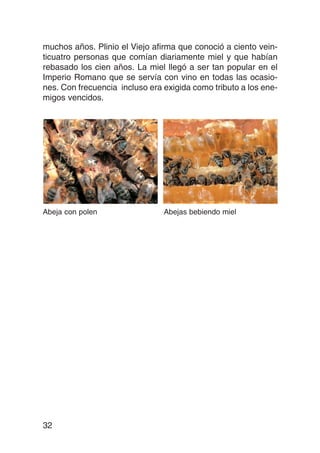 muchos años. Plinio el Viejo afirma que conoció a ciento vein-
ticuatro personas que comían diariamente miel y que habían
rebasado los cien años. La miel llegó a ser tan popular en el
Imperio Romano que se servía con vino en todas las ocasio-
nes. Con frecuencia incluso era exigida como tributo a los ene-
migos vencidos.




Abeja con polen                 Abejas bebiendo miel




32
 