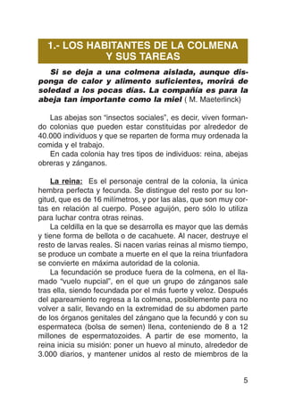 1.- LOS HABITANTES DE LA COLMENA
             Y SUS TAREAS
   Si se deja a una colmena aislada, aunque dis-
ponga de calor y alimento suficientes, morirá de
soledad a los pocas días. La compañía es para la
abeja tan importante como la miel ( M. Maeterlinck)

   Las abejas son “insectos sociales”, es decir, viven forman-
do colonias que pueden estar constituidas por alrededor de
40.000 individuos y que se reparten de forma muy ordenada la
comida y el trabajo.
   En cada colonia hay tres tipos de individuos: reina, abejas
obreras y zánganos.

    La reina: Es el personaje central de la colonia, la única
hembra perfecta y fecunda. Se distingue del resto por su lon-
gitud, que es de 16 milímetros, y por las alas, que son muy cor-
tas en relación al cuerpo. Posee aguijón, pero sólo lo utiliza
para luchar contra otras reinas.
    La celdilla en la que se desarrolla es mayor que las demás
y tiene forma de bellota o de cacahuete. Al nacer, destruye el
resto de larvas reales. Si nacen varias reinas al mismo tiempo,
se produce un combate a muerte en el que la reina triunfadora
se convierte en máxima autoridad de la colonia.
    La fecundación se produce fuera de la colmena, en el lla-
mado “vuelo nupcial”, en el que un grupo de zánganos sale
tras ella, siendo fecundada por el más fuerte y veloz. Después
del apareamiento regresa a la colmena, posiblemente para no
volver a salir, llevando en la extremidad de su abdomen parte
de los órganos genitales del zángano que la fecundó y con su
espermateca (bolsa de semen) llena, conteniendo de 8 a 12
millones de espermatozoides. A partir de ese momento, la
reina inicia su misión: poner un huevo al minuto, alrededor de
3.000 diarios, y mantener unidos al resto de miembros de la


                                                              5
 