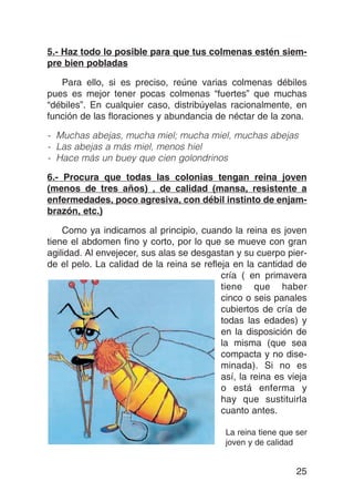 Miel Maya Melipona - Te has preguntado.. ¿¿cuántas alas tienen las abejas  🐝 ?? Parecerá una respuesta lógica, ya que a simple vista sólo percibimos  un par. Pero. ¡¡¡Veamos más de cerca!!!