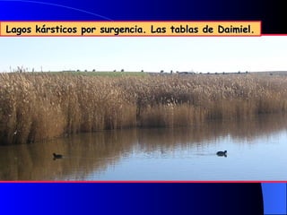 Lagos kársticos por surgencia. Las tablas de Daimiel.