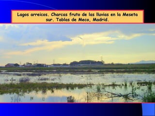 Lagos arreicos. Charcas fruto de las lluvias en la Meseta sur. Tablas de Meco, Madrid.