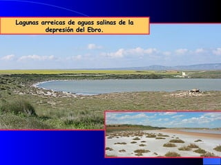 Lagunas arreicas de aguas salinas de la depresión del Ebro.