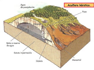 Acuífero kárstico.