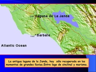 La antigua laguna de la Janda, hoy sólo recuperada en los momentos de grandes lluvias.Entre lago de sinclinal y marisma.