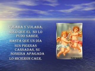 VOLAbA Y VOLAbA, SOLO QUE EL  NO LO PUDO SABER, HASTA QUE UN DÍA SUS PIERNAS CANSADAS, SU SONRISA APAGADA LO HICIERON CAER. 