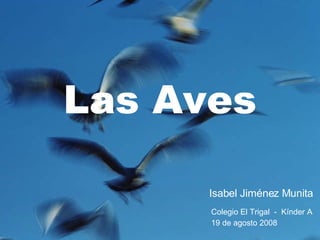 Las Aves Isabel Jiménez Munita Colegio El Trigal  -  Kínder A 19 de agosto 2008 