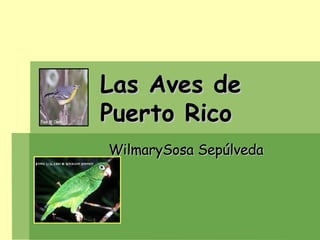 Las Aves de    Puerto Rico  WilmarySosa Sepúlveda 