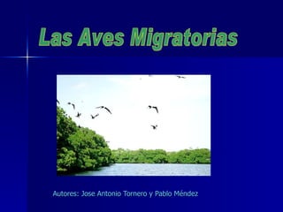 Autores: Jose Antonio Tornero y Pablo Méndez Las Aves Migratorias 