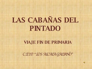 LAS CABAÑAS DEL PINTADO VIAJE FIN DE PRIMARIA C.E.I.P. “LOS ALCALA GALIANO” 