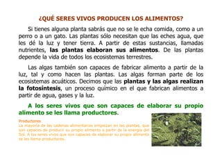 Las Cadenas Alimentarias 1