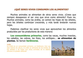 Las Cadenas Alimentarias 1