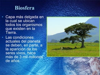 Biosfera Capa más delgada en la cual se ubican todos los organismos que existen en la Tierra.  Las condiciones actuales del planeta se deben, en parte, a la aparición de los seres vivos, hace más de 3 mil millones de años. 