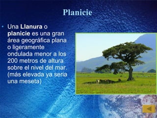 Planicie  Una  Llanura  o  planicie  es una gran área geográfica plana o ligeramente ondulada menor a los 200 metros de altura sobre el nivel del mar. (más elevada ya seria una meseta) 