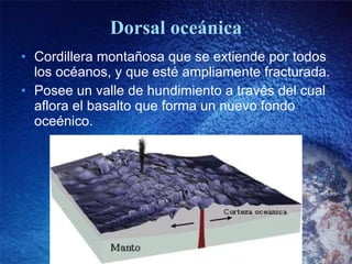 Dorsal oceánica Cordillera montañosa que se extiende por todos los océanos, y que esté ampliamente fracturada. Posee un valle de hundimiento a través del cual aflora el basalto que forma un nuevo fondo oceénico. 