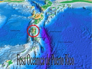 Fosa Oceánica de Puerto Rico 