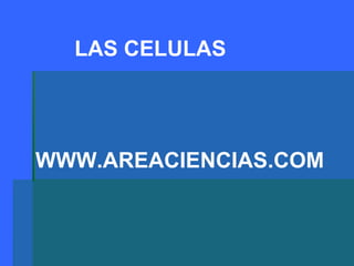 WWW.AREACIENCIAS.COM LAS CELULAS 