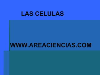 WWW.AREACIENCIAS.COM LAS CELULAS 