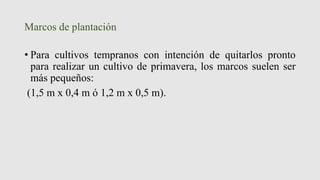 Marcos de plantación
• Para cultivos tempranos con intención de quitarlos pronto
para realizar un cultivo de primavera, los marcos suelen ser
más pequeños:
(1,5 m x 0,4 m ó 1,2 m x 0,5 m).
 