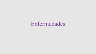 Enfermedades
 