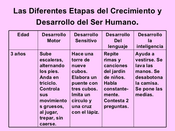 Las Diferentes Etapas Del Crecimiento Y Desarrollo Del