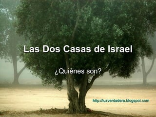 Las Dos Casas de Israel ¿Quiénes son? http:// luzverdadera.blogspot.com 