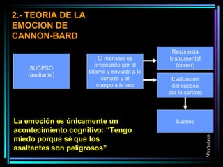 SUCESO (asaltante) El mensaje es procesado por el tálamo y enviado a la corteza y al cuerpo a la vez Respuesta Instrumental (correr) Evaluación del suceso por la corteza Suceso 2.- TEORIA DE LA EMOCION DE CANNON-BARD La emoción es únicamente un acontecimiento cognitivo: “Tengo miedo porque sé que los asaltantes son peligrosos” Ψυχήλόγςο 