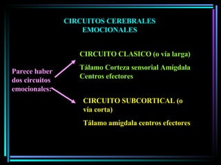 CIRCUITOS CEREBRALES EMOCIONALES Parece haber dos circuitos emocionales:  CIRCUITO CLASICO (o vía larga) Tálamo Corteza sensorial Amígdala Centros efectores CIRCUITO SUBCORTICAL (o vía corta)  Tálamo amígdala centros efectores 