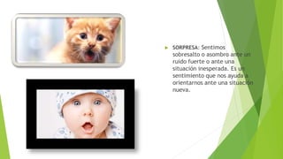  SORPRESA: Sentimos
sobresalto o asombro ante un
ruido fuerte o ante una
situación inesperada. Es un
sentimiento que nos ayuda a
orientarnos ante una situación
nueva.
 